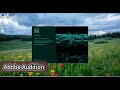 Adobe Audition   Introduction