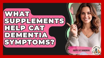 What Supplements Help Cat Dementia Symptoms? | Happy Cat Handbook