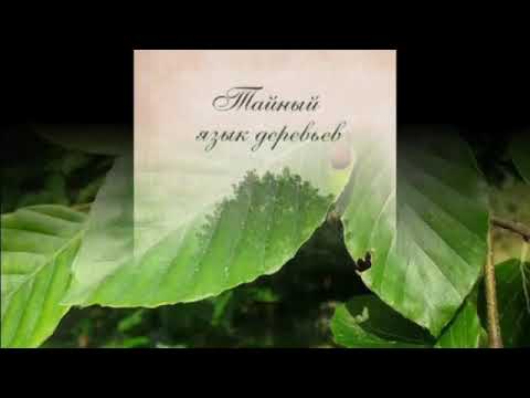 Джилл Дэвис. Тайный язык деревьев. Бук, смоковница (инжир), ясень.