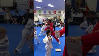 Taekwondo Board Breaking Basic Program Test #shorts #fyp #martialarts #sports #test