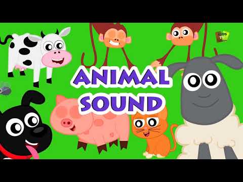 Video Học Tiếng Anh qua nhạc - ABC Song - YouTube