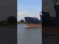American line freight rate rise! Please contact me if you need any advice#shippingcompany