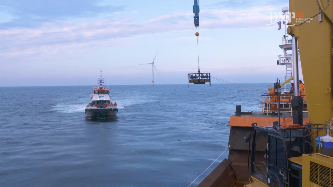 Oysters in a wind farm in the North Sea - Promo