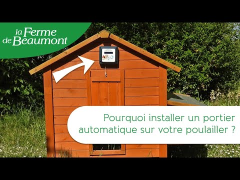 Pourquoi installer une porte automatique sur mon poulailler ?