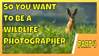 So You Want To Be A Wildlife Photographer - Part 4 screenshot 5