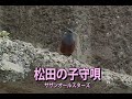 (カラオケ)松田の子守唄 / サザンオールスターズ