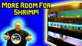 The Shrimp Room Is Complete! The Final Build