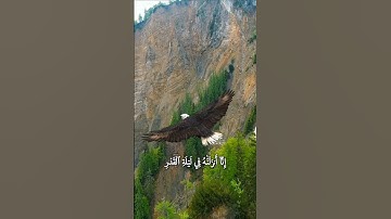 قرآن كريم سورة القدر بصوت طفل رائع#قرآن #قران_كريم #اكسبلور #دويتو #تيك_توك #لايك #video #viralvideo