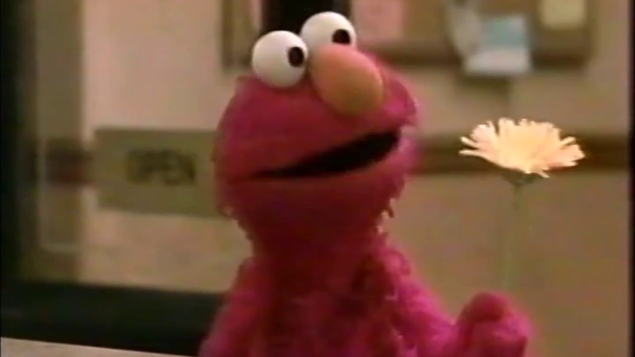 Sesame Street Elmo's Flower YouTube