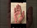 हनुमान जी की रेखा (मंगल रेखा) ? #palmistry #astrology #viralshort