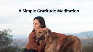 A Simple Gratitude Meditation  #healthy #easy #wellness #free by Robin & Willow Delicious Living 155 views 5 months ago 5 minutes, 42 seconds