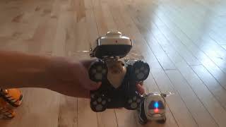 Kiss idog testing: possible display/prototype units by Einfari Âûtomata 266 views 8 months ago 14 minutes, 44 seconds