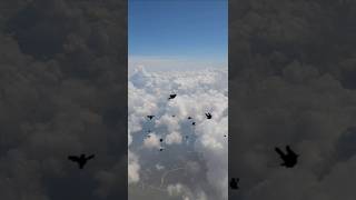 Fly Away #shorts #trending #clouds #sky #photography #birds