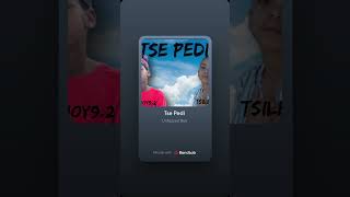 Tse Pedi(feat.leejoy9.2&Tsile_012)