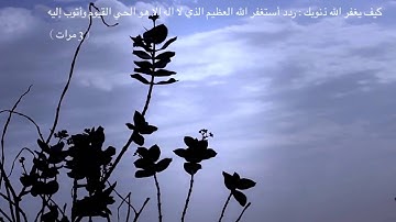 القارئ اليمني محمد صالح سورة النازعات-HD