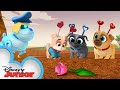 The Perfect Valentine's Day Gift 💕| Puppy Dog Pals | Disney Junior