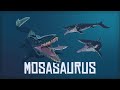 How Scientifically Accurate is the Jurassic World MOSASAURUS?