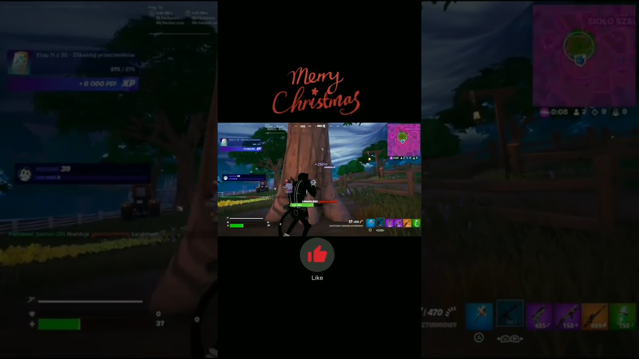 fortnite Meowscles stressful WIN 