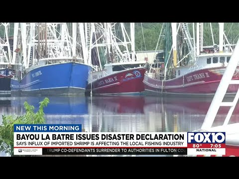 Bayou La Batre issues disaster declaration due to influx of imported shrimp