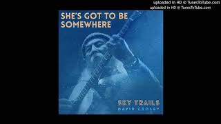 David Crosby - Sky trails - Curved air chords