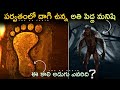 స్కాలాండ్  పర్వతా ల్లో వింత  జీవి | THE BIG GRAY MAN STORY EXPLAINED  |  IN TELUGU |  THE AK FACTS