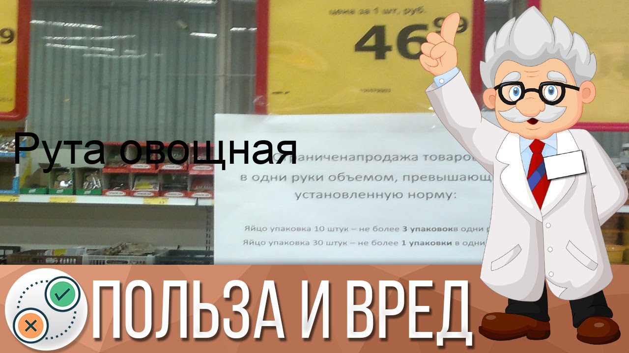 Рута овощная
