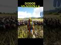 100 Dodo vs Godzilla (Ark survival evolved)