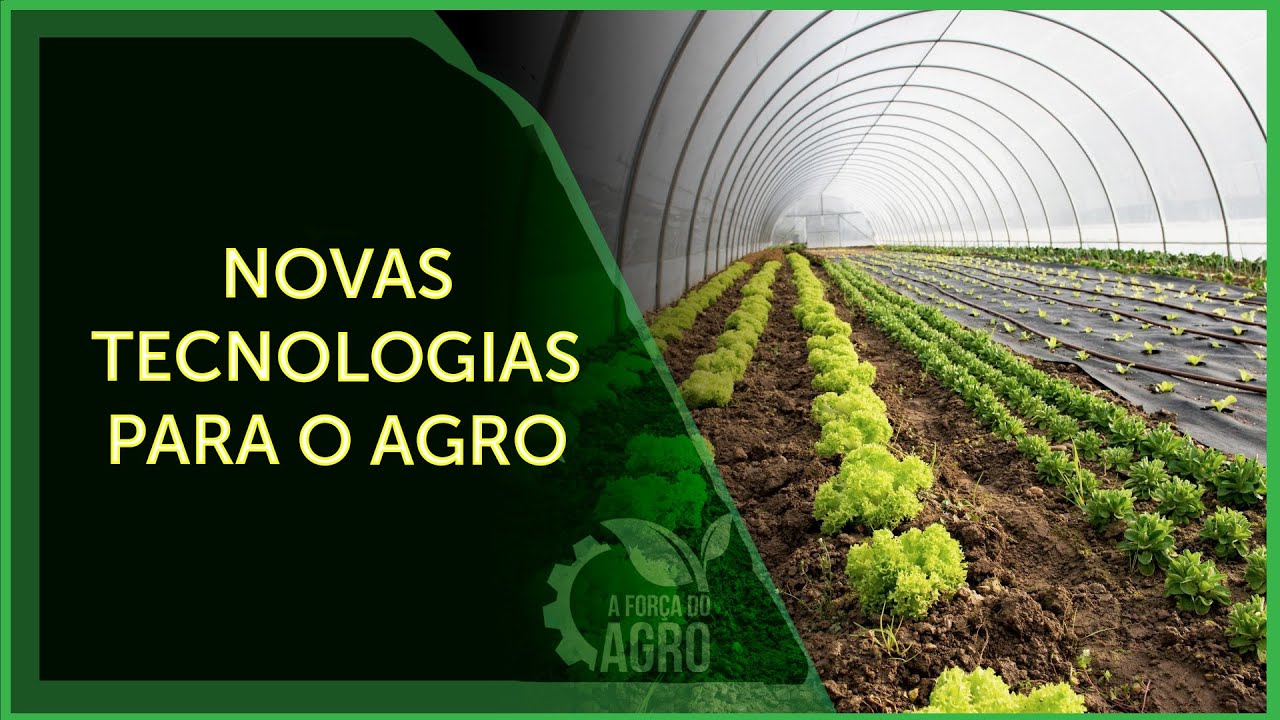 Brasil ainda tem muito a avançar em pesquisa agropecuária