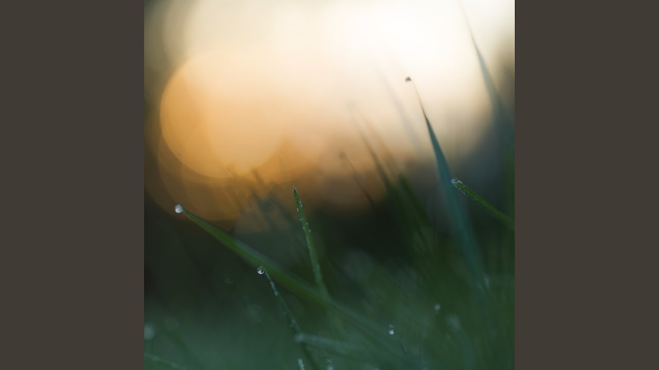 Guarda Melora su YouTube Guarda Melora su YouTube