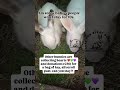 PayPal link in my bio) @Tanman0323 @kerrysilverthorn6513 @redcross6963 @ellenmcmahon9098 ​⁠