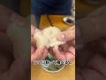 厚岸 の 特大 ホタテ! 開けてみます!#せり人ムタロー #shorts