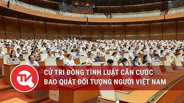 Cử tri đồng tình Luật Căn cước bao quát đối tượng người Việt Nam nhưng chưa xác định được quốc tịch