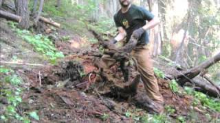 Adventures in Trail Work