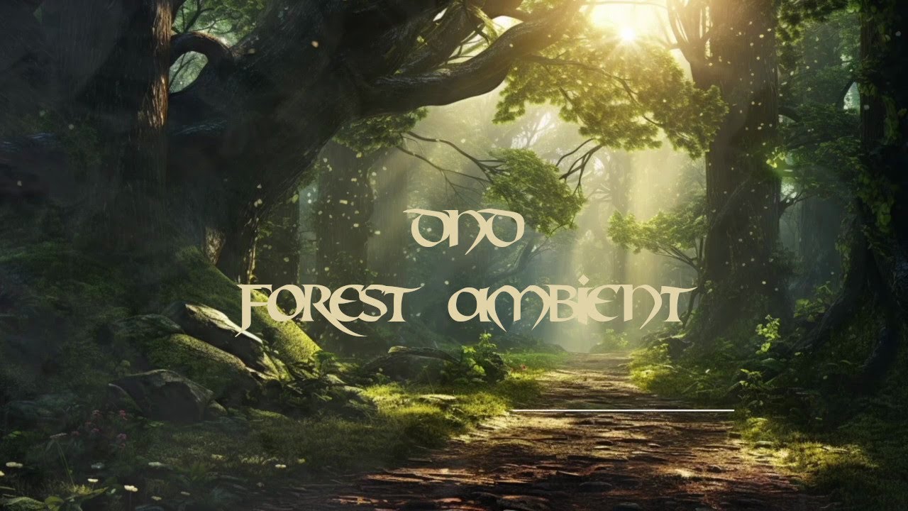 DnD Calm Fantasy Forest Music for Adventure and Exploration | 1 Hour ...