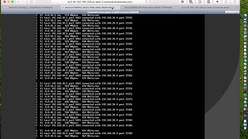 Network Shaping and Telemetry with Machine Learning Demo