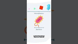 How to REMOVE #MICROPLASTICS from your #water at home #health #drinkingwater #healthyliving Wealth