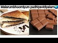 Chocolate Sandwich Malarumbhoomiyum Pudhiyavidiyalum