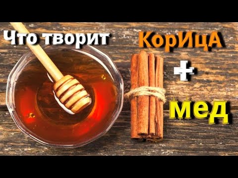 5 причин использовать мед и корицу