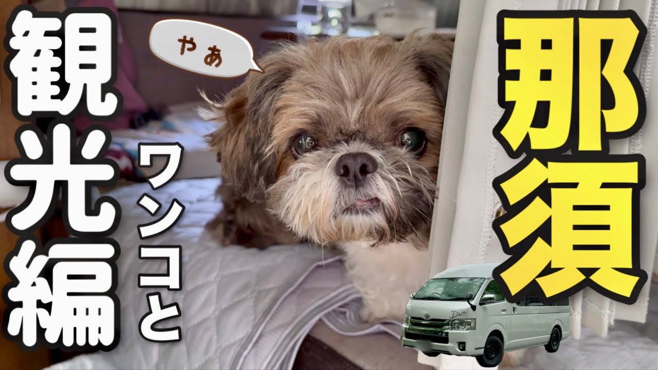 【那須犬連れ車中泊の旅】最終日！道の駅明治の森黒磯からスタートする那須観光