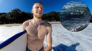 Hai tuli vastaan kun olin surffaamassa meressä Havaijilla