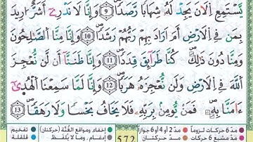 سورة الجن القارئ حمزة الجزائري برواية ورش عن نافع المدني