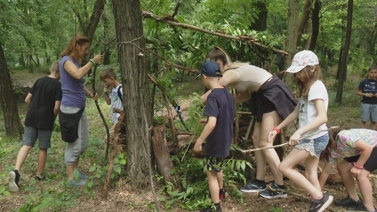 Dialóg Játékos Nyári Tábor, ahol a gyerekek lejönnek a digitális ...