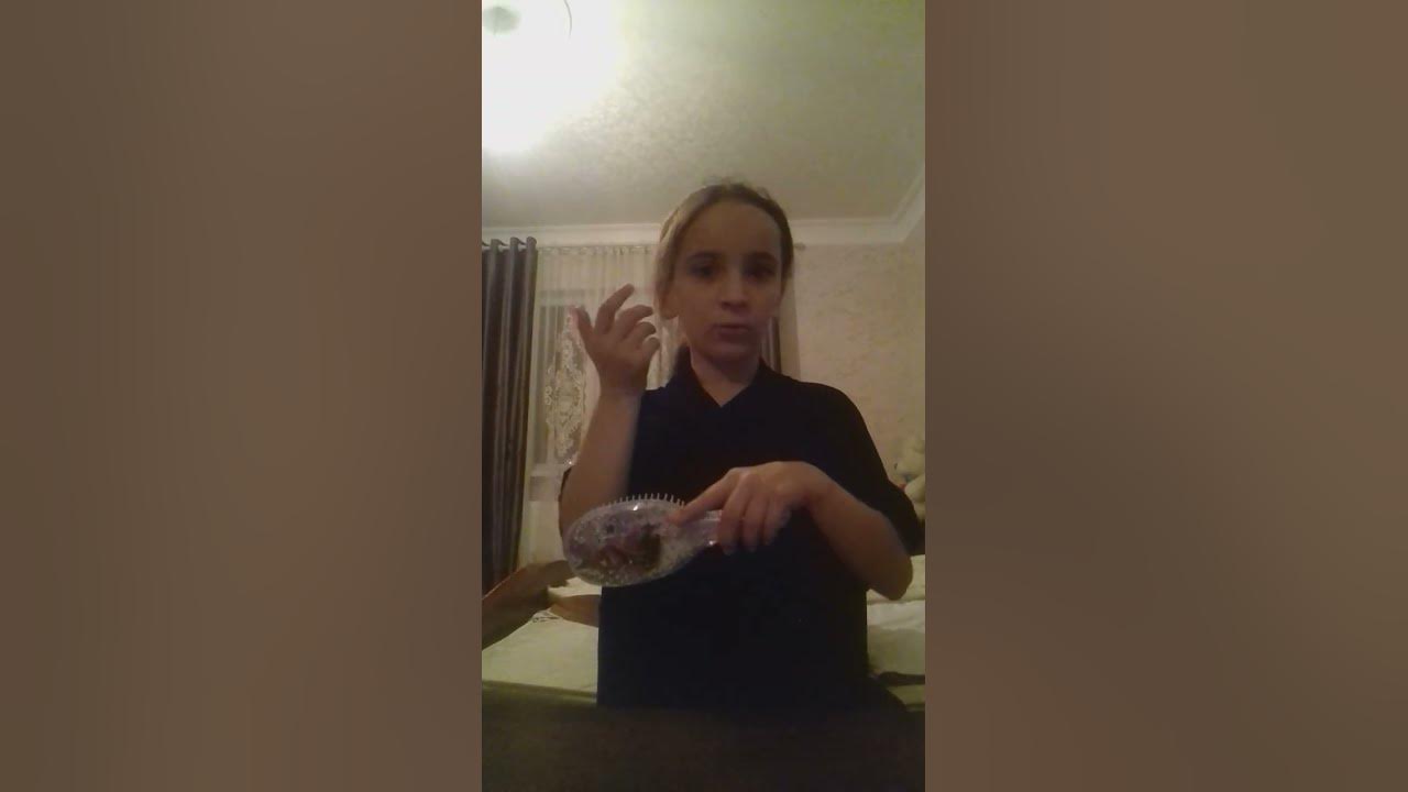 мама и жук - YouTube