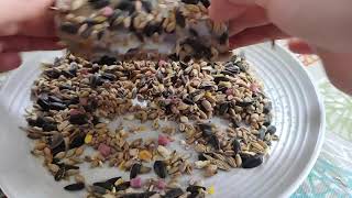 Reaseheath Mini Zoo: How to make a bird feeder with a toilet roll