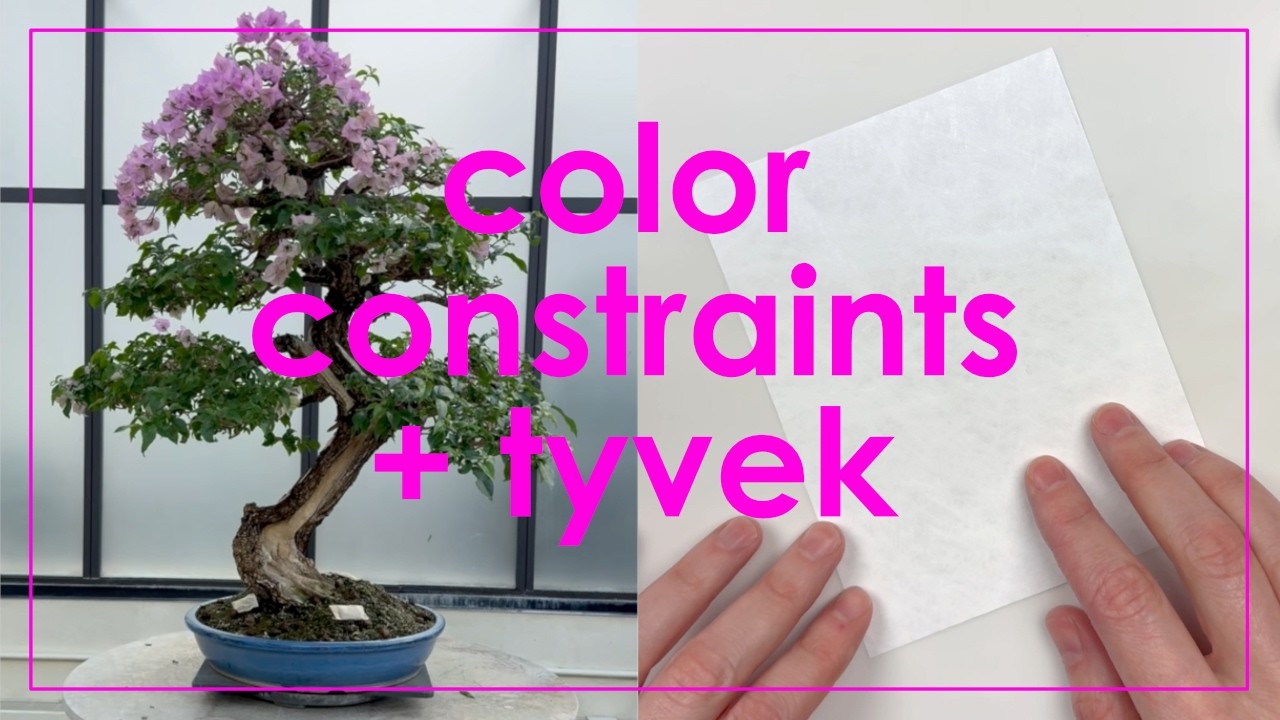 creative inspiration: finding color combinations wherever you go - YouTube