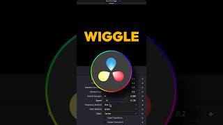 Wiggle Expression in DaVinci Fusion? (Easy Fix) #davinciresolve #fusion #wiggle #mograph #tutorial