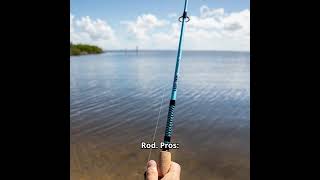 Reviewing Abu Garcia Veritas, Dobyns Rods Champion, St. Croix Rods Mojo Bass, Shakespeare Ugly Stik.