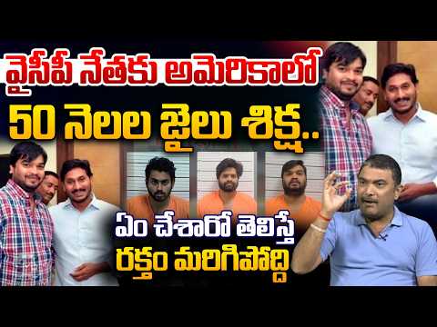 Big Shock To YSRCP Leader In US Court : వైసీపీ నేతకు అమెరికాలో 50 నెలల జైలు శిక్ష.. | Wild Wolf
