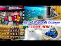 Bow boww to meow meow pets shop  cheap  best pets shop with affordable prices kukatpally