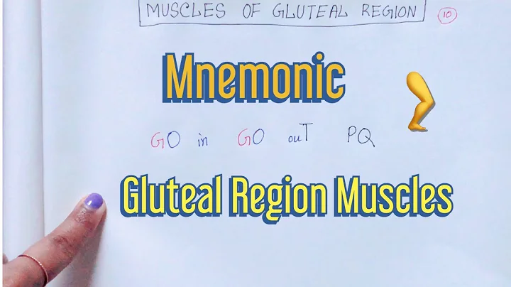 Mnemonic for the Muscles of Gluteal Region 🦵